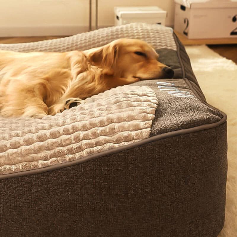 Dog Bed Orthopedic Support Raised Edge Scratch-Resistant Fabric