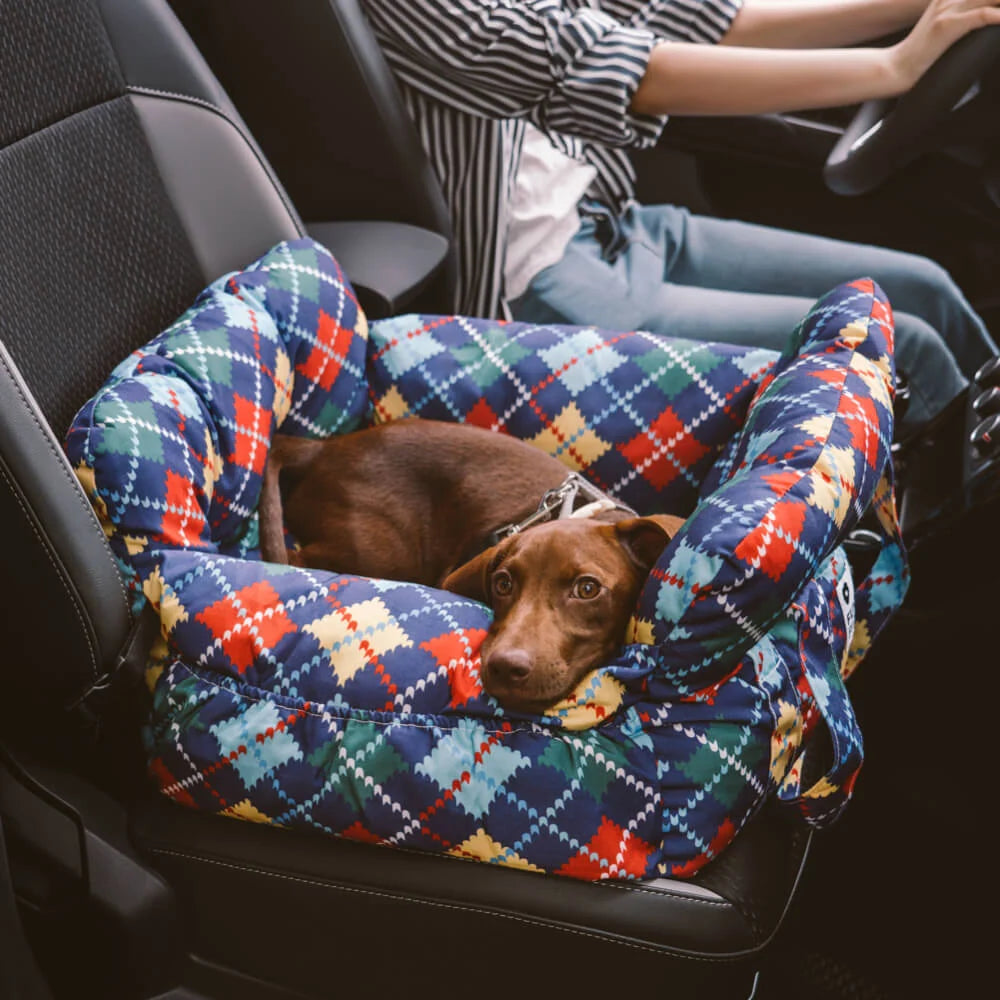 Dog Booster Seat Padded Adjustable Straps & Tether