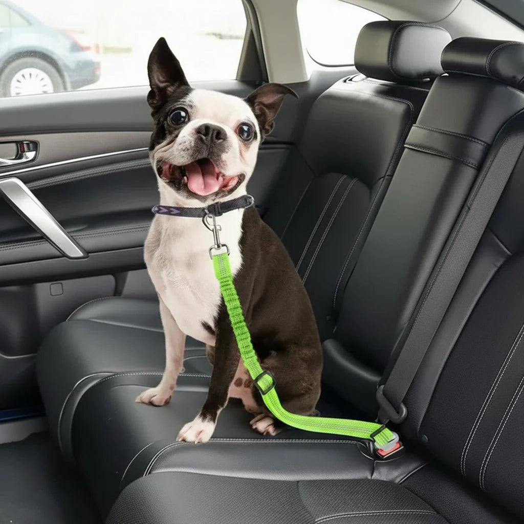 Dog Car Safety Belt Adjustable Nylon With Shock Absorber