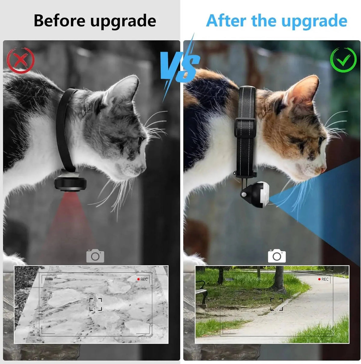 Dog & Cat Camera Collar Wide-Angle HD Night Vision