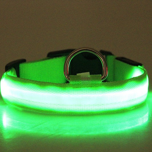 Dog Collar LED Light USB-Rechargeable & Adjustable