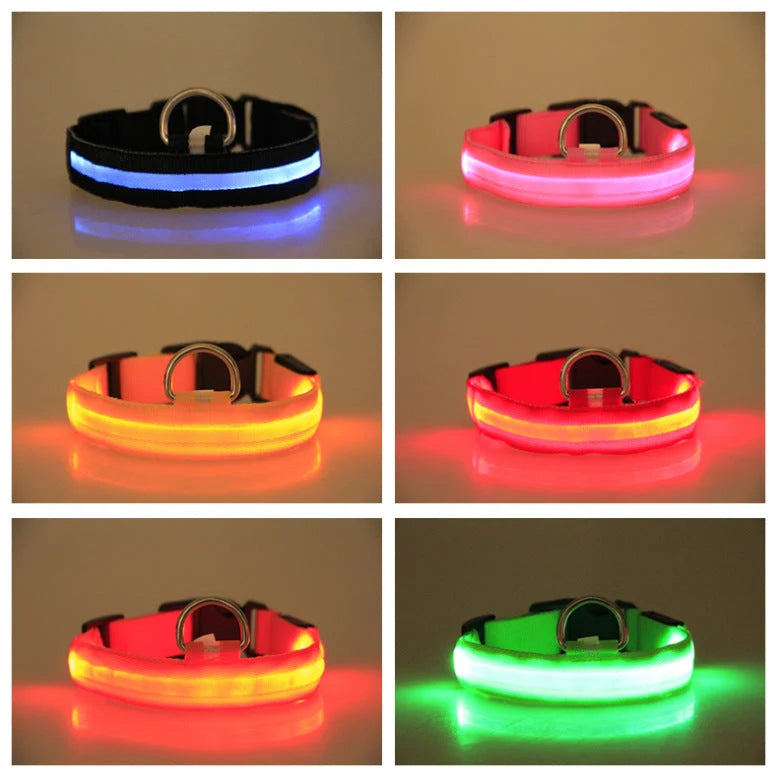 Dog Collar LED Light USB-Rechargeable & Adjustable