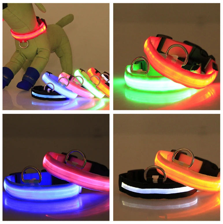 Dog Collar LED Light USB-Rechargeable & Adjustable
