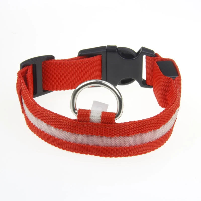 Dog Collar LED Light USB-Rechargeable & Adjustable