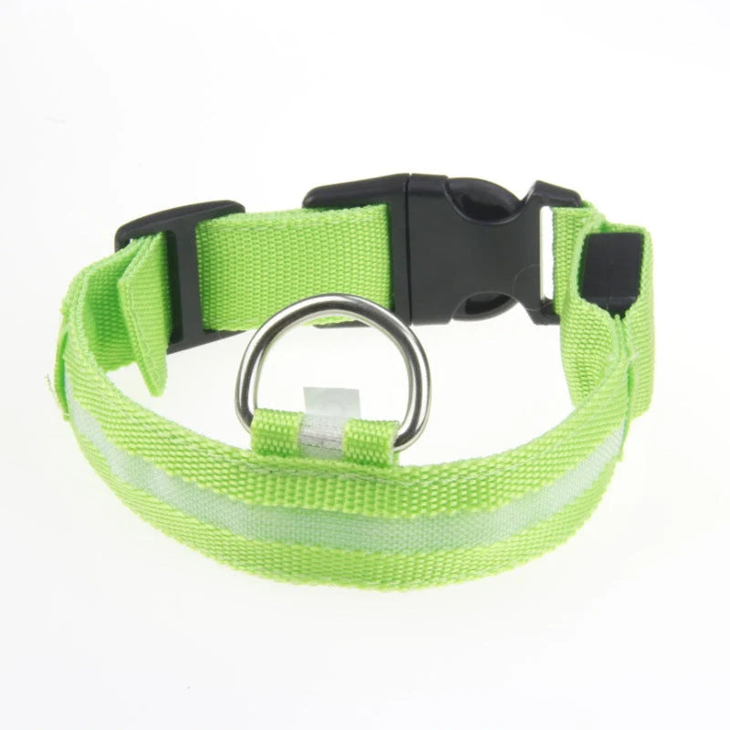 Dog Collar LED Light USB-Rechargeable & Adjustable