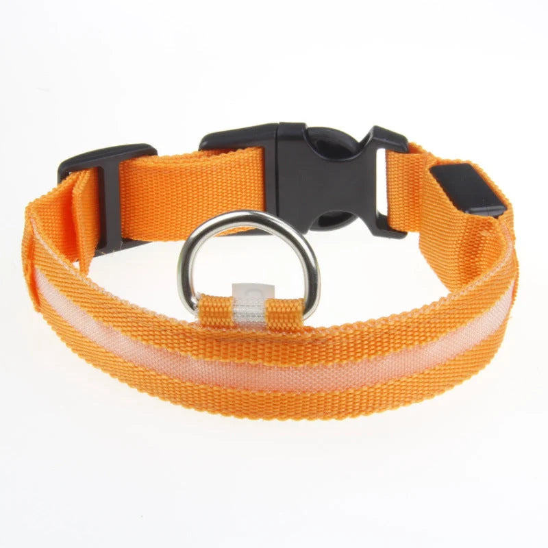 Dog Collar LED Light USB-Rechargeable & Adjustable