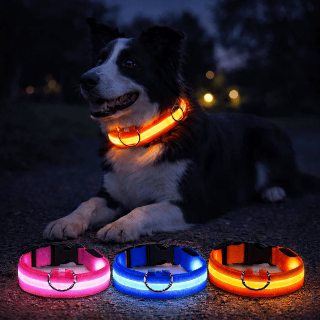 Dog Collar Rechargeable LED High Visibility 3 Light Modes