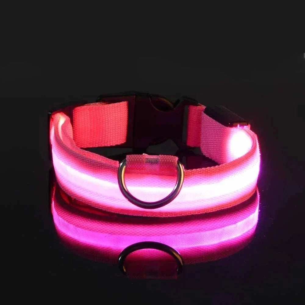 Dog Collar Rechargeable LED High Visibility 3 Light Modes