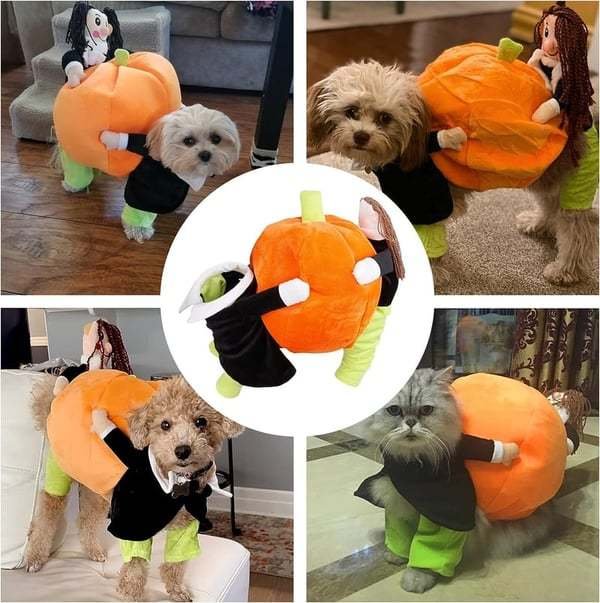 Dog Costume Pumpkin Halloween Velvet Secure Fit