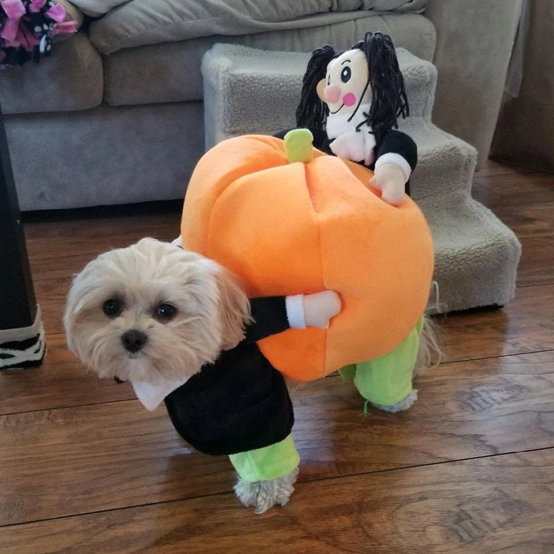 Dog Costume Pumpkin Halloween Velvet Secure Fit