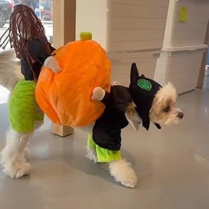 Dog Costume Pumpkin Halloween Velvet Secure Fit