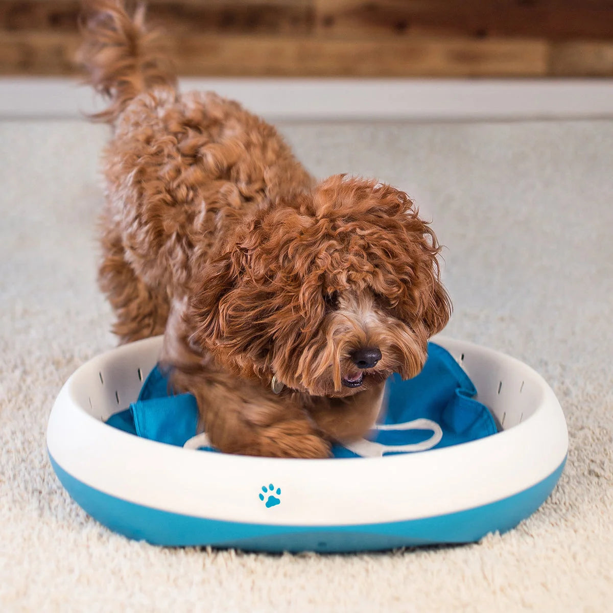 Dog Digging Toy Machine-Washable Flaps Durable Plastic Base