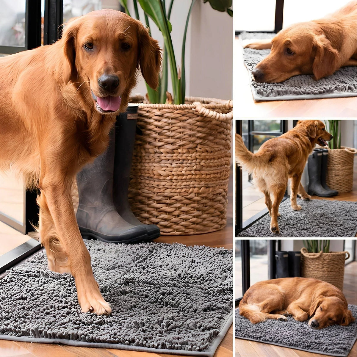 Dog Door Mat Absorbent Non-Slip Mud & Moisture Trapping