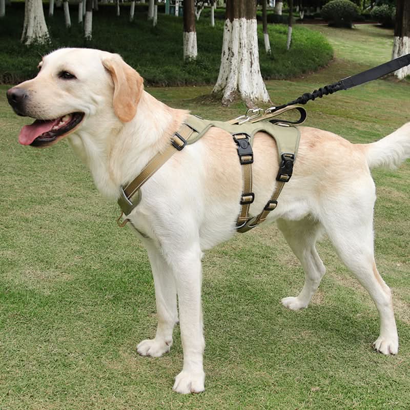 Dog Harness No-Pull Front Clip Reflective Adjustable Fit