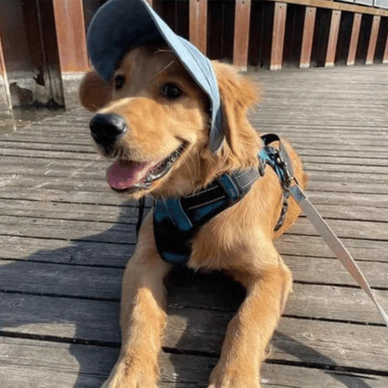 Dog Hat Adjustable Sun Visor Sun Protection