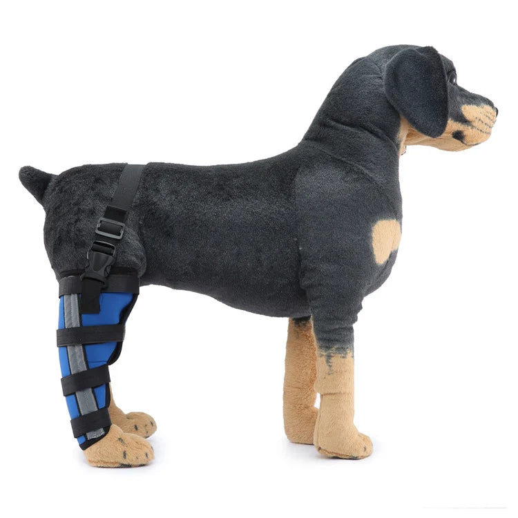 Dog Hind Leg Brace Stable Support Year-Round Wear
