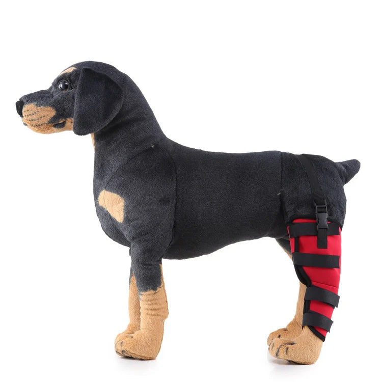 Dog Hind Leg Brace Stable Support Year-Round Wear