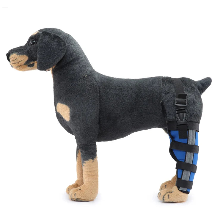 Dog Hind Leg Brace Stable Support Year-Round Wear