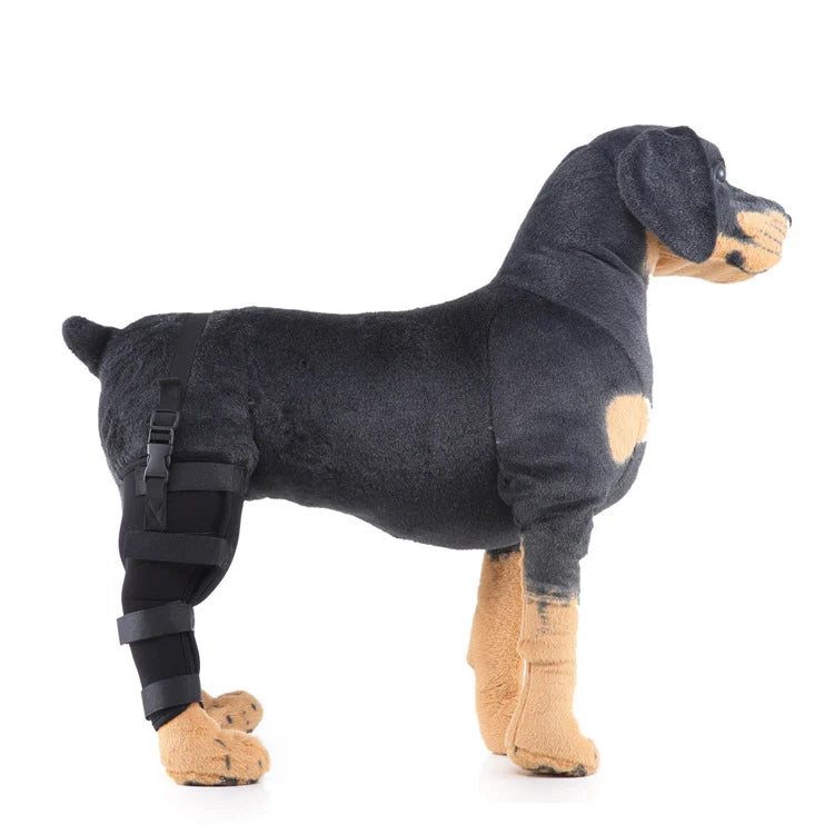 Dog Hind Leg Brace Stable Support Year-Round Wear