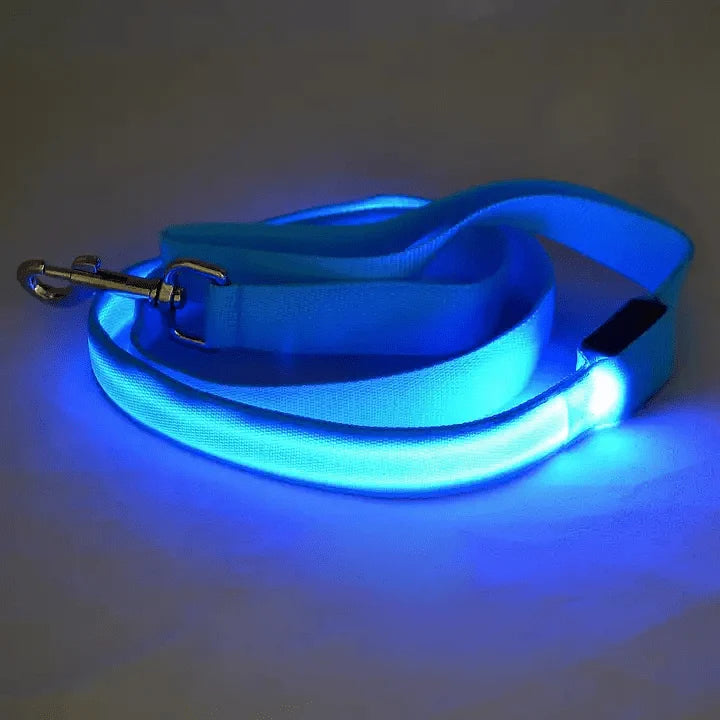 Dog Leash LED Light Reflective Stitching USB Rechargeable