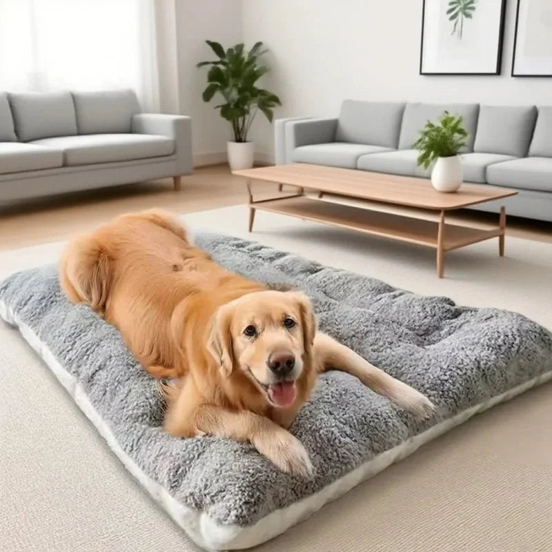 Dog Mat Thick Plush Padding Easy-Care Material