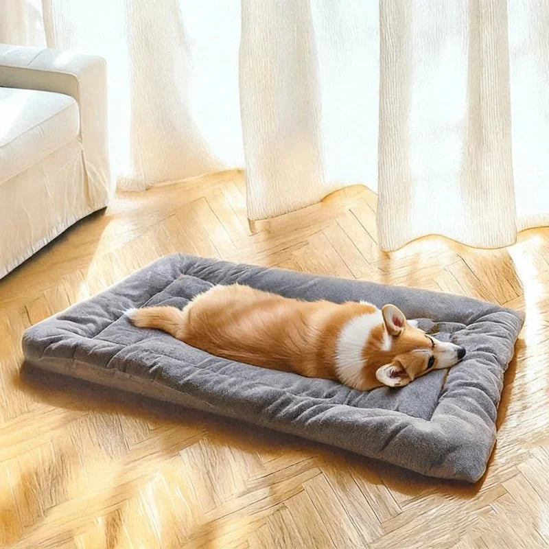 Dog Mat Thick Plush Padding Easy-Care Material