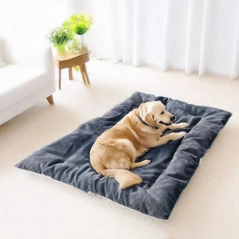 Dog Mat Thick Plush Padding Easy-Care Material