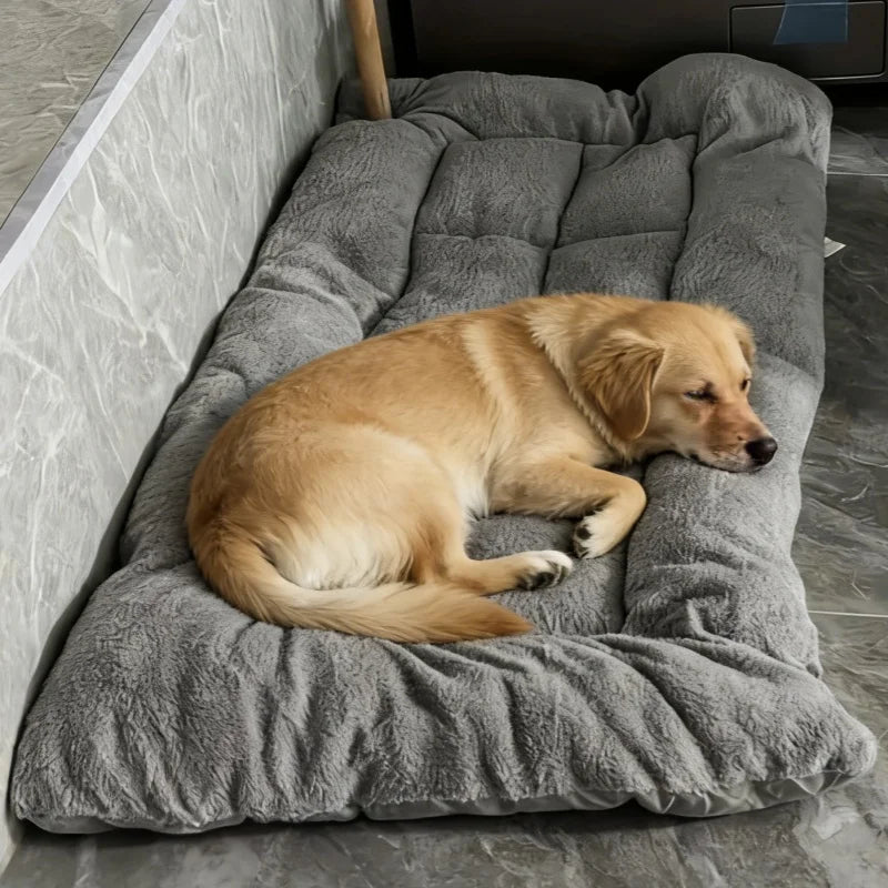 Dog Mat Thick Plush Padding Easy-Care Material