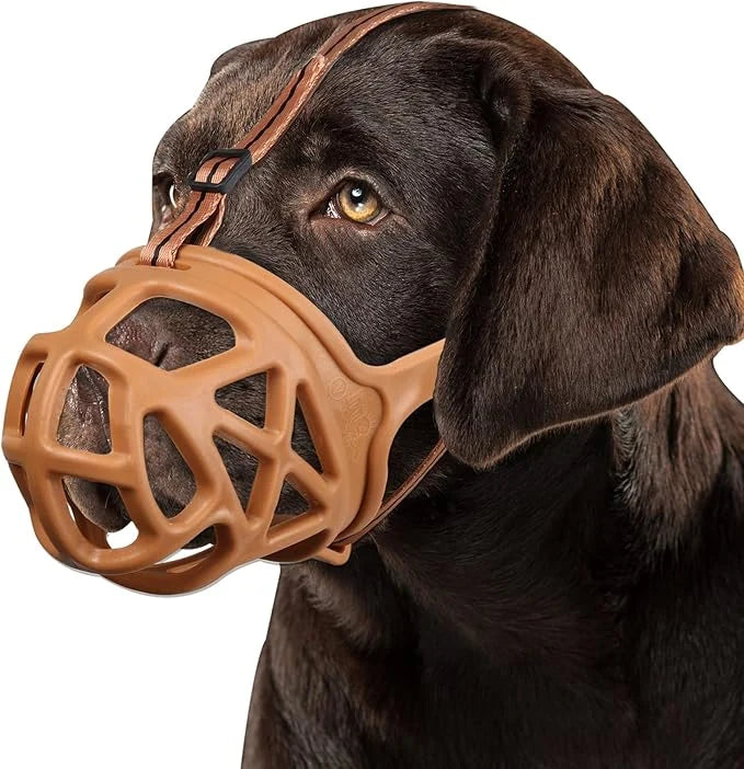 Dog Muzzle Open Basket Adjustable Straps