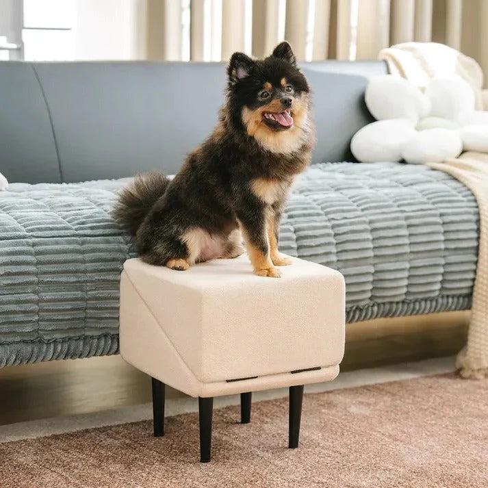 Dog Ramp Convertible Non-Slip 200 lb