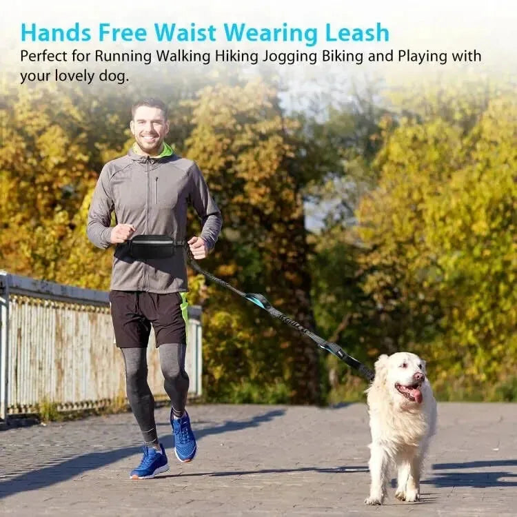 Dog Running Leash Hands-Free Reflective Shock-Absorbing Elastic