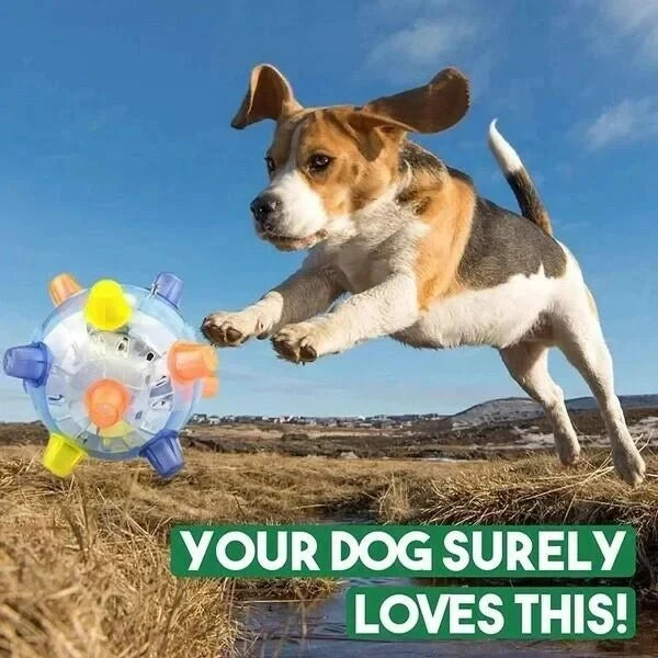 Dog Toy Automatic Touch-Activated Jumping Ball