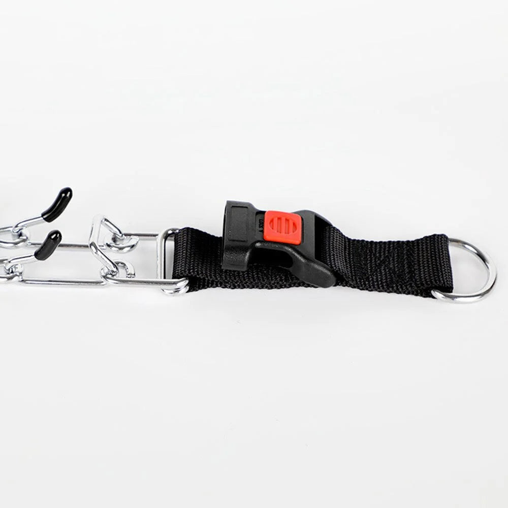 Dog Training Collar Nylon Quick-Release & Rust-Resistant D-Ring