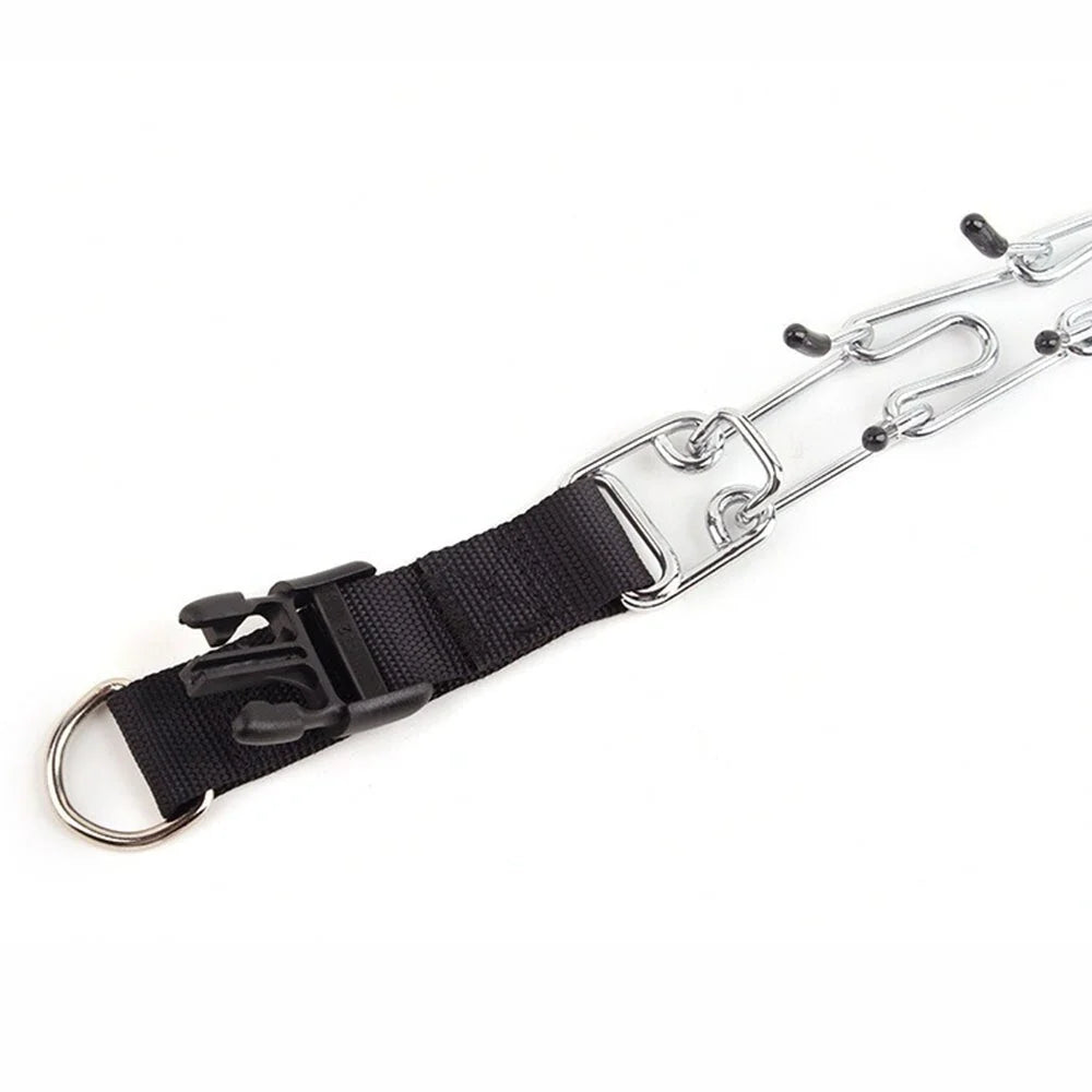 Dog Training Collar Nylon Quick-Release & Rust-Resistant D-Ring