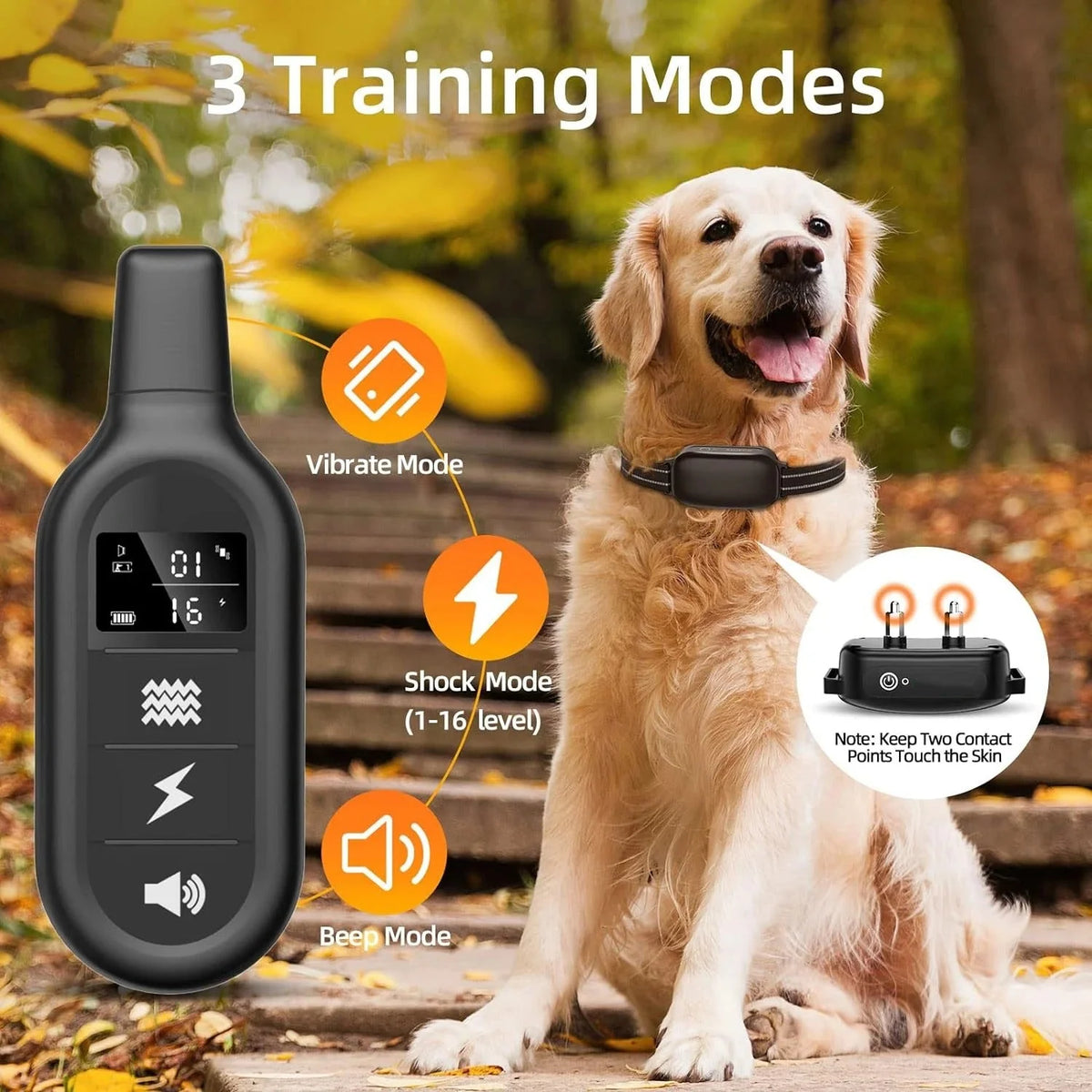 Dog Training Collar Remote Control Water-Resistant USB Rechargeable
