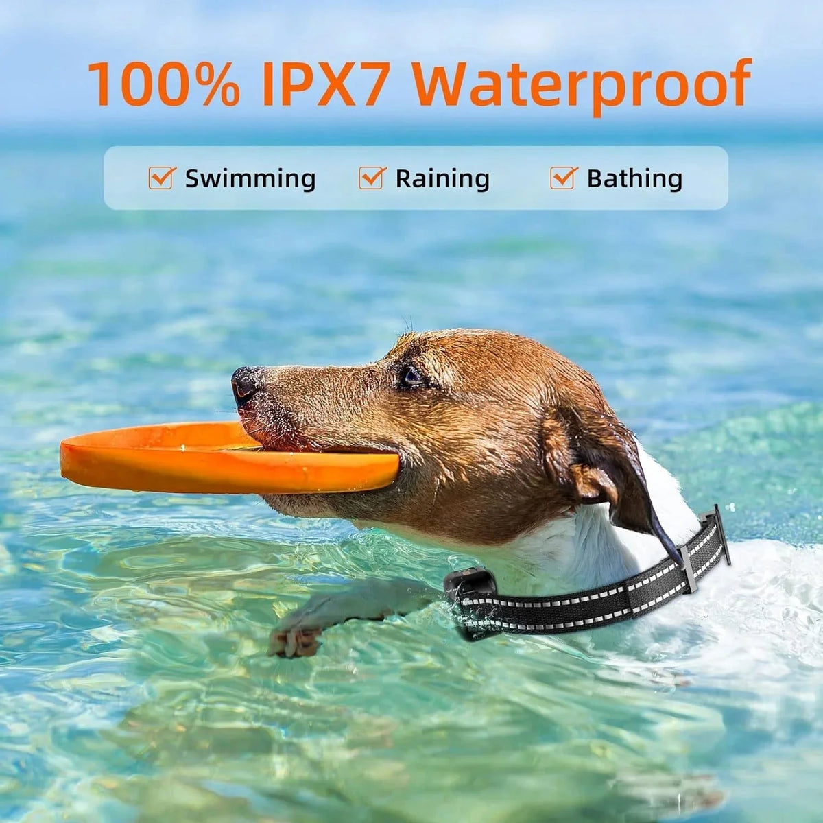 Dog Training Collar Remote Control Water-Resistant USB Rechargeable