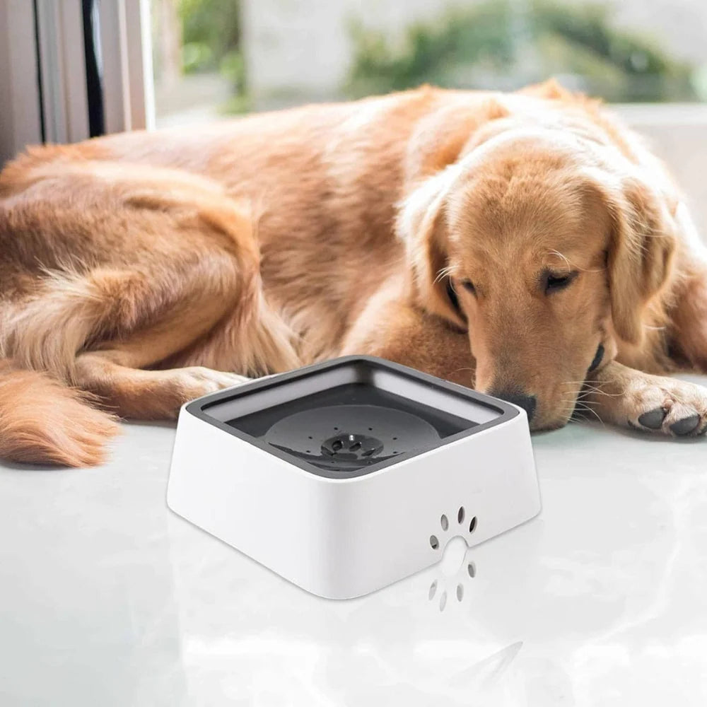 Dog Water Bowl Floating Disk & Non-Slip Base