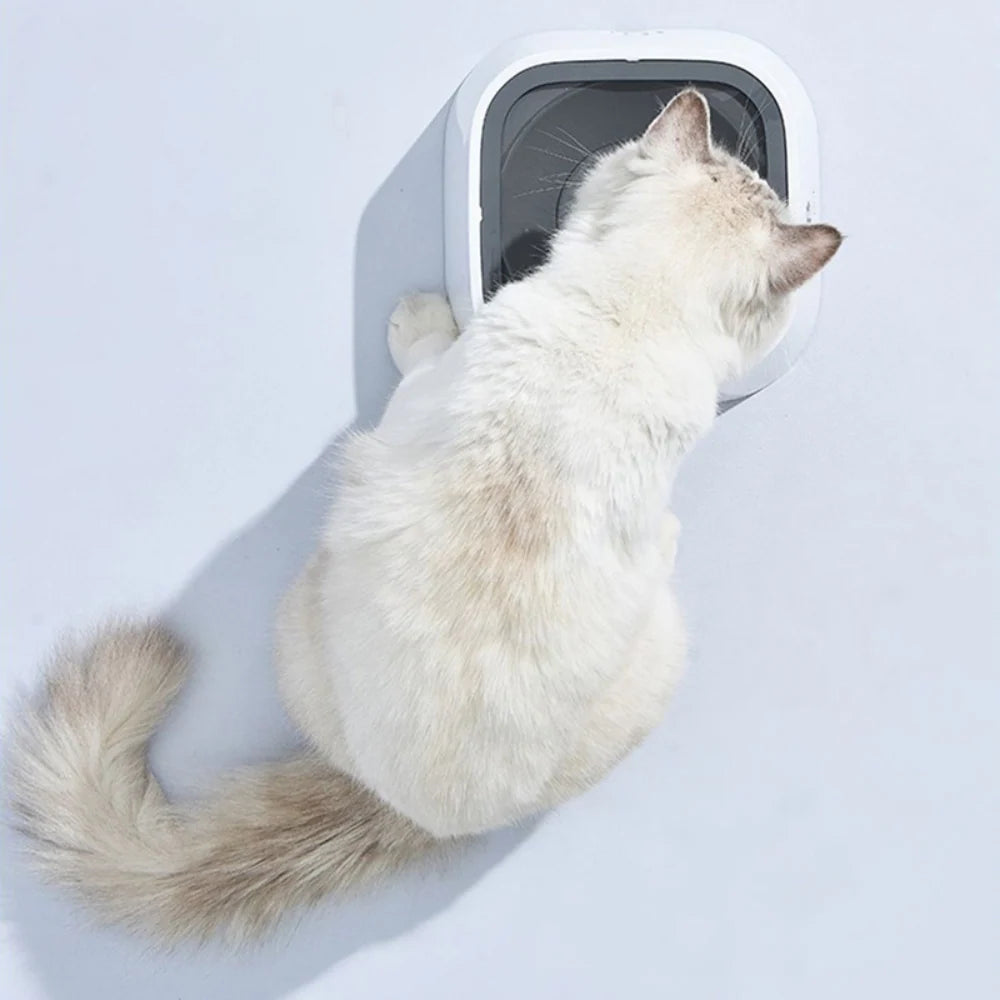 Dog Water Bowl Floating Disk & Non-Slip Base