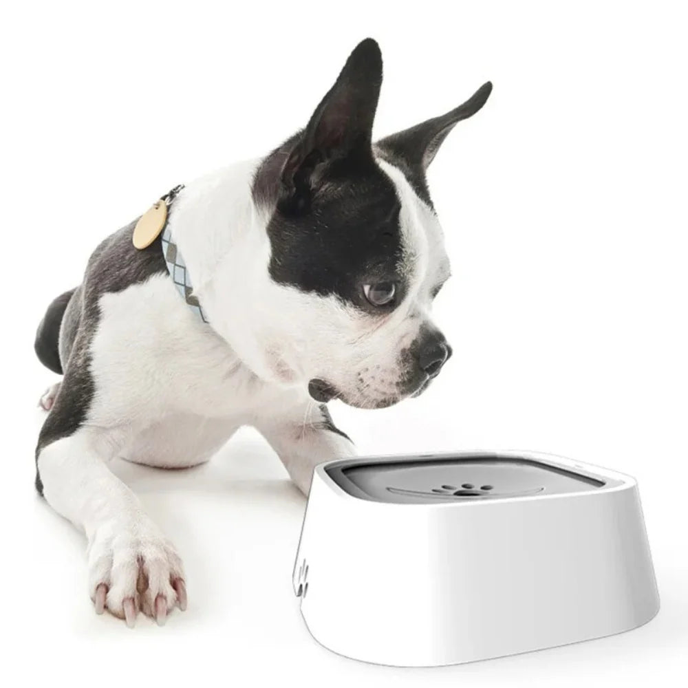 Dog Water Bowl Floating Disk & Non-Slip Base