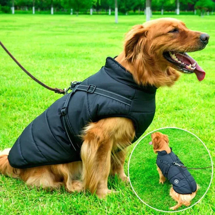 Dog Winter Jacket Waterproof & Sherpa-Lined Built-In Harness