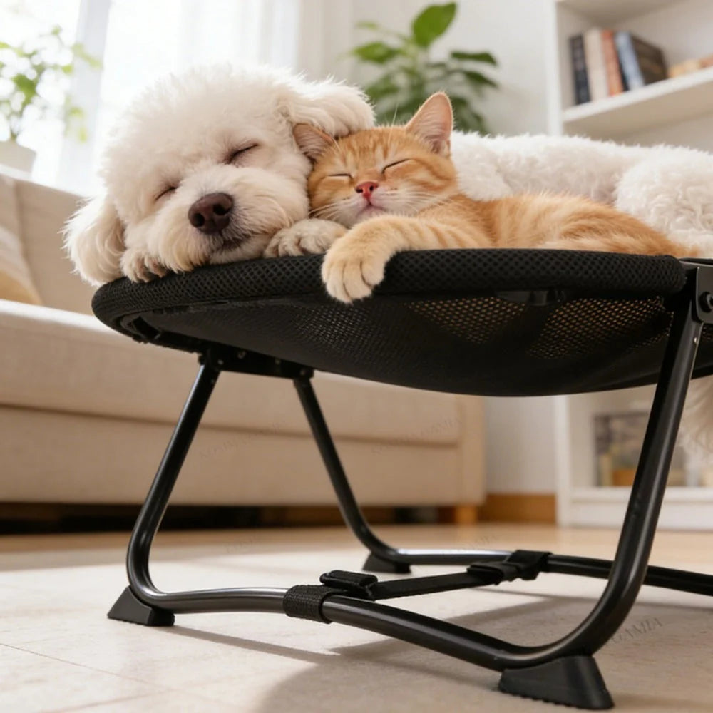 Elevated Pet Bed Breathable Mesh Foldable Iron Frame