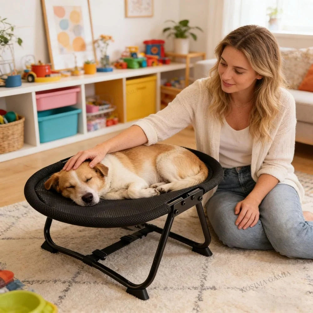 Elevated Pet Bed Breathable Mesh Foldable Iron Frame