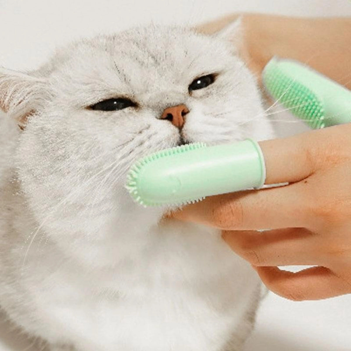 Finger Toothbrush Dual-Finger Over 800 Bristles
