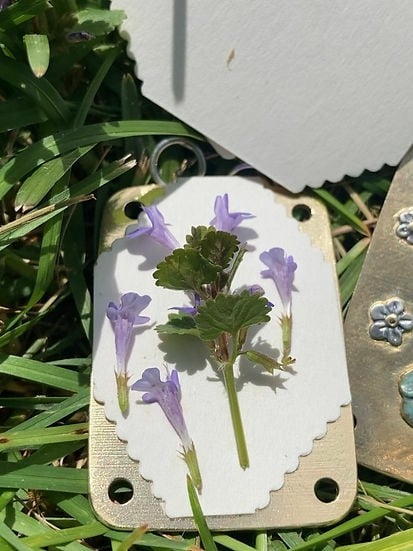 Flower Press Compact With 10 Reusable Blotter Sheets
