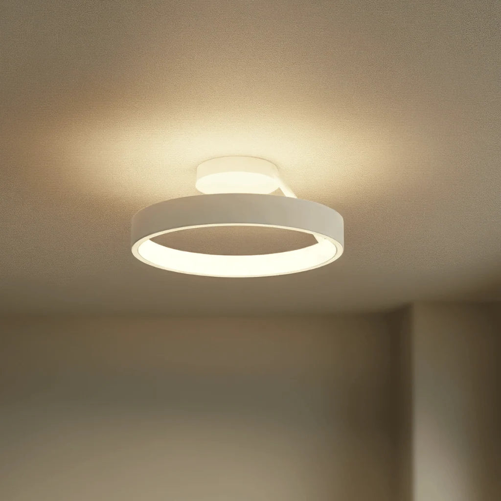 Flush Ceiling Light Integrated LED & Warm Light