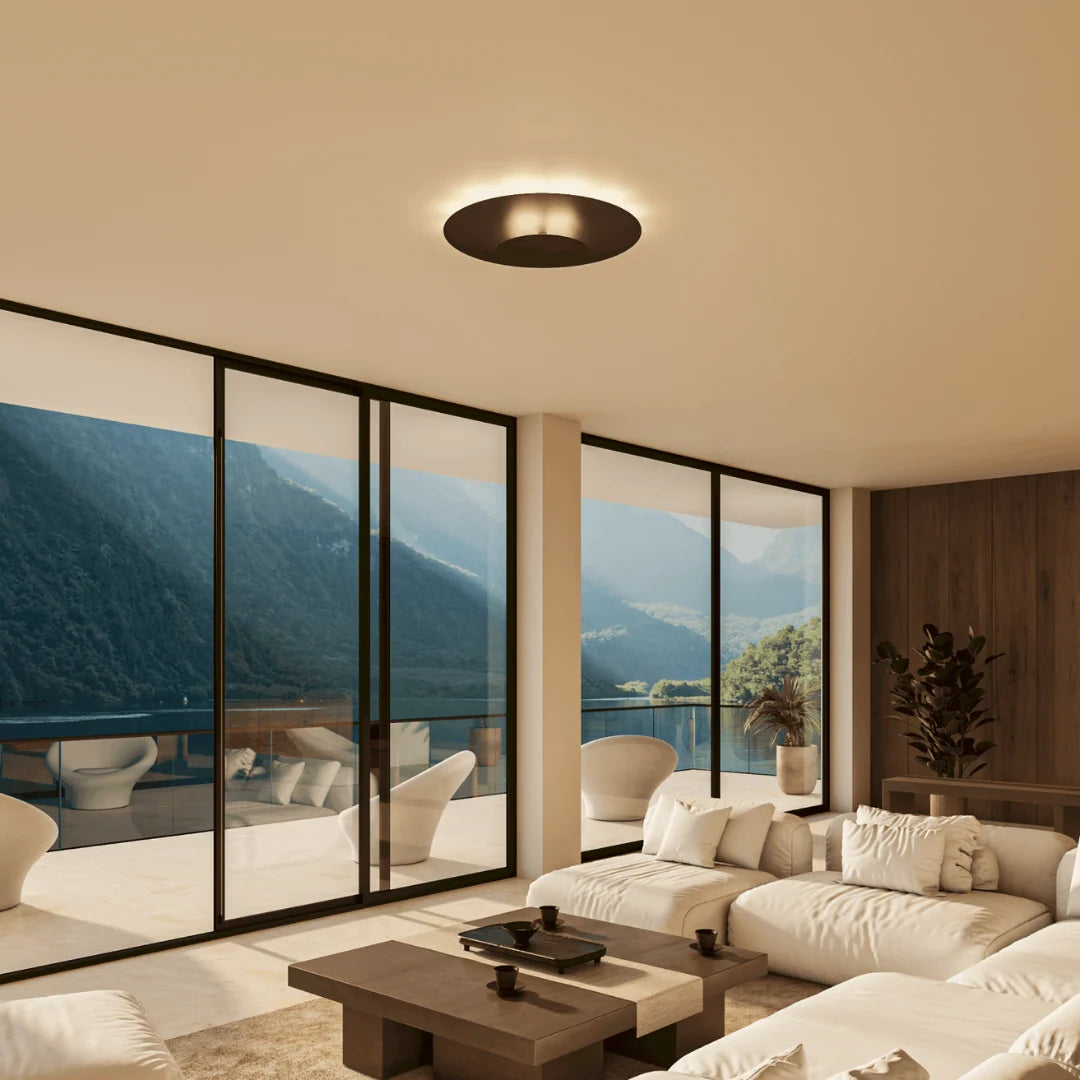 Flush Mount Ceiling Light Integrated LED Slim Profile