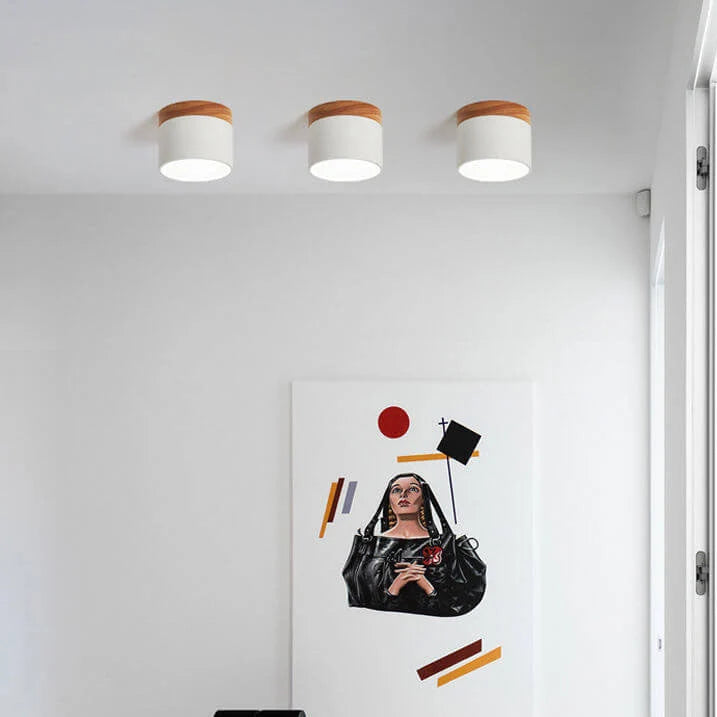 Flush-Mount Ceiling Light Low-Profile Integrated LED 3 Color Temps