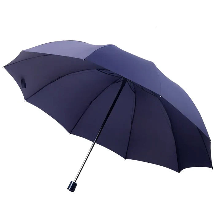 Folding Umbrella Windproof 51 Inch Canopy Compact