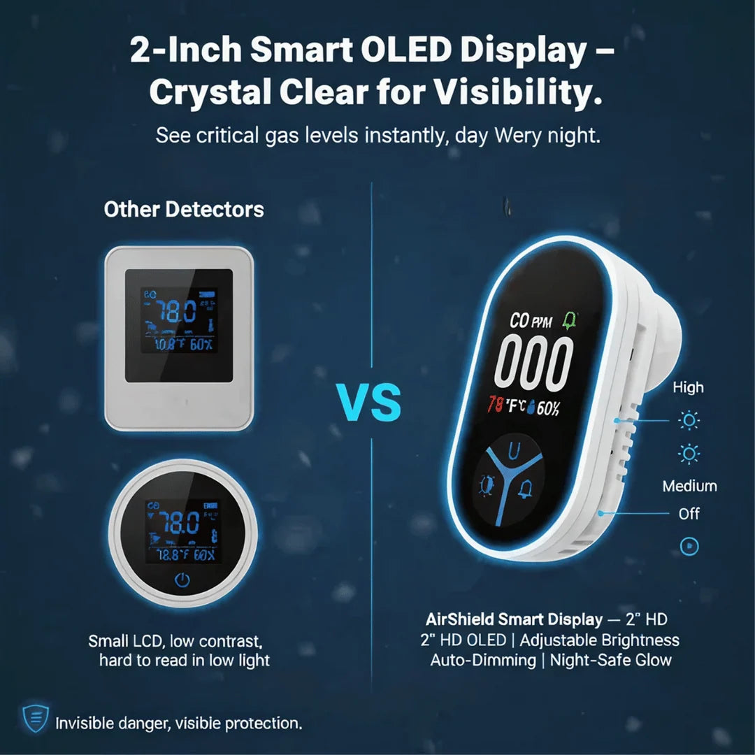 Gas Detector Dual Gas Digital Display Audible Alarm