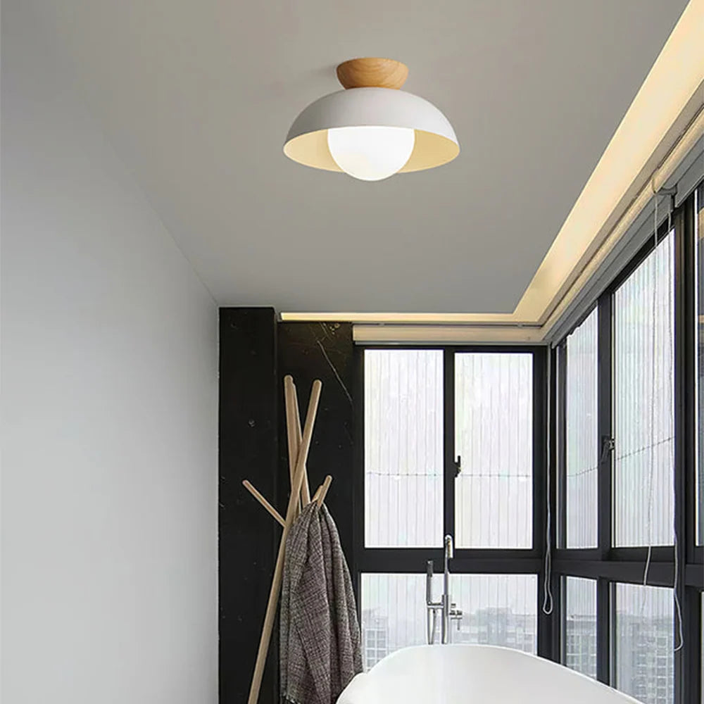 Hallway Ceiling Light Dome Flush Mount Continuous Lighting